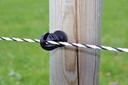 Isolateur corde IS8 HORIZONT "Turbomax"