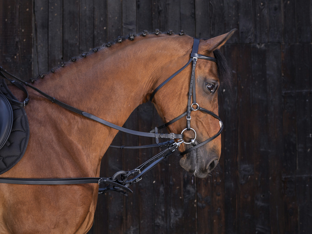 Enrênement caoutchouc RIDING WORLD