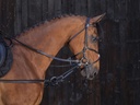 Enrênement caoutchouc RIDING WORLD