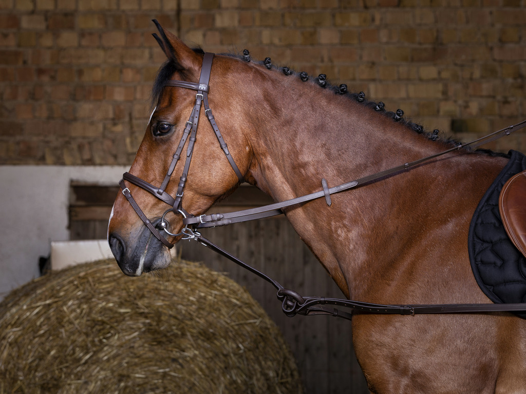 Enrênement caoutchouc RIDING WORLD