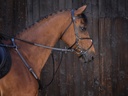 Martingale à anneaux RIDING WORLD