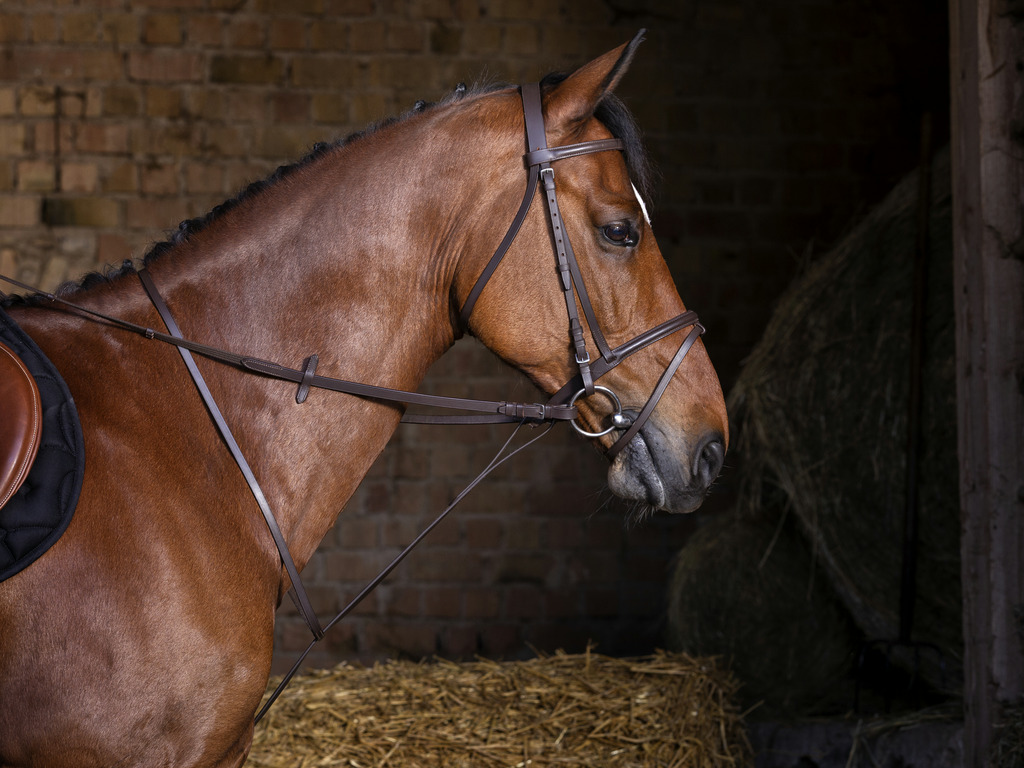 Martingale fixe RIDING WORLD