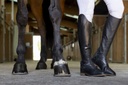 Bottes EQUITHÈME "Wavy"