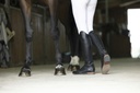 Bottes EQUITHÈME "Wavy"