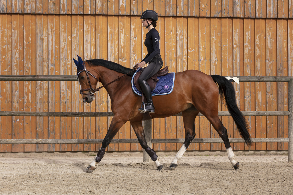 Casque EQUITHÈME "Compet"