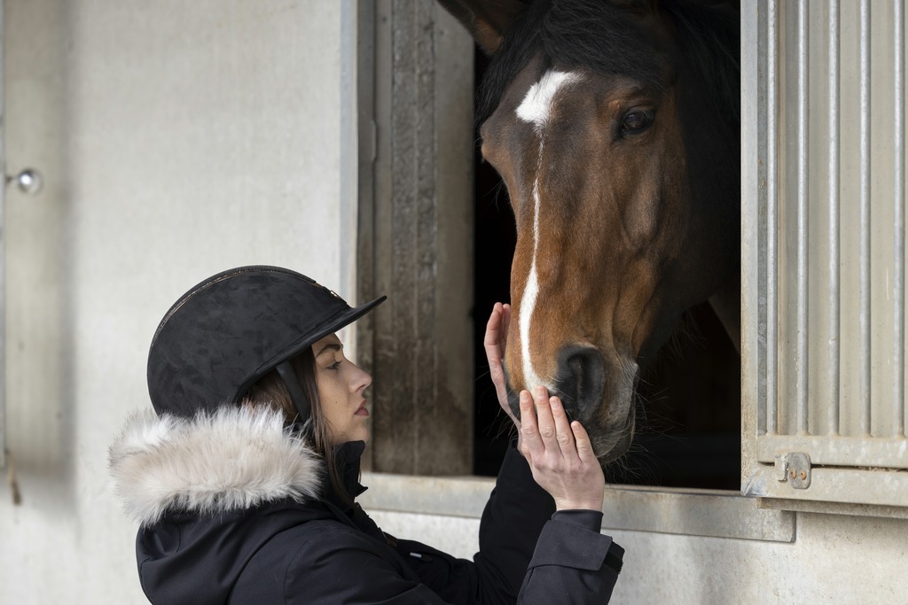 Casque EQUITHÈME "Glint Lamé"