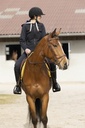 Gilet matelassé EQUITHÈME "Phoebe"