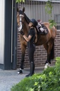 Casque BACK ON TRACK® EQ3 Lynx
