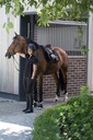 Casque BACK ON TRACK® EQ3 Lynx