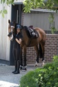 Casque BACK ON TRACK® EQ3 Lynx