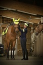 Tour de casque EQUITHÈME "High Visibility"