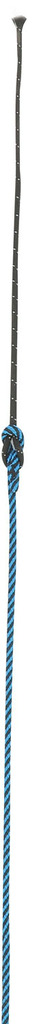 Chambrière WHIP & GO “Tourillon”