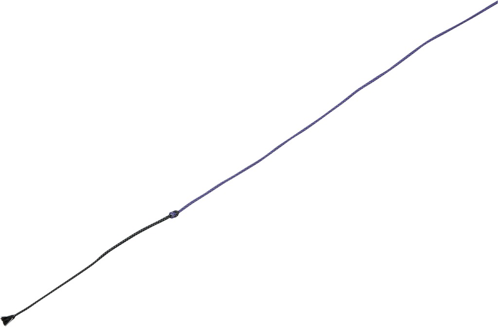 Chambrière WHIP & GO “Tourillon”