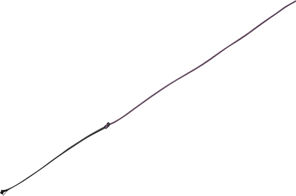 Chambrière WHIP & GO “Tourillon”