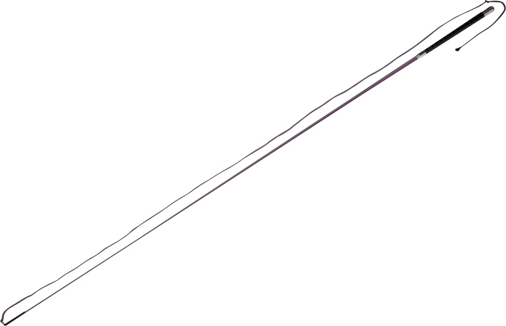 Chambrière WHIP & GO “Tourillon”