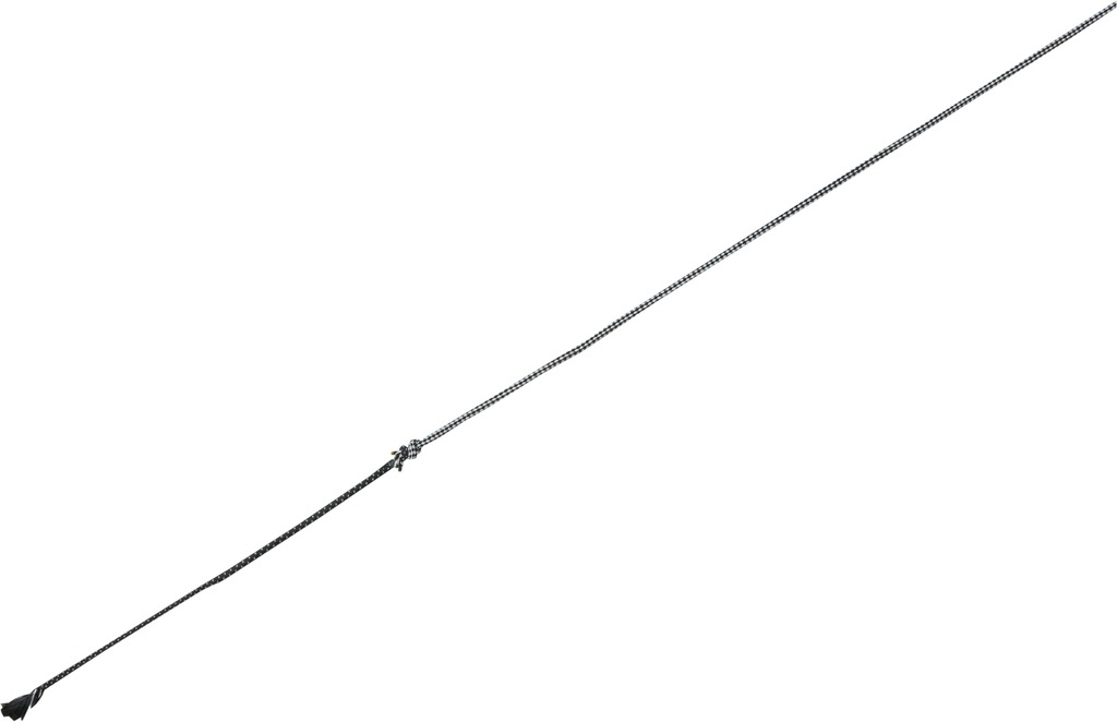 Chambrière WHIP & GO "Carbone" télescopique