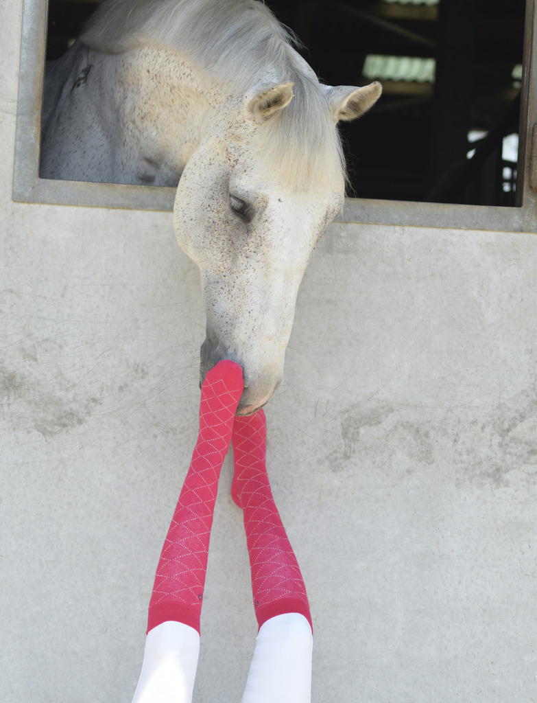 Chaussettes EQUITHÈME "Résille"
