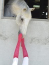 Chaussettes EQUITHÈME "Résille"