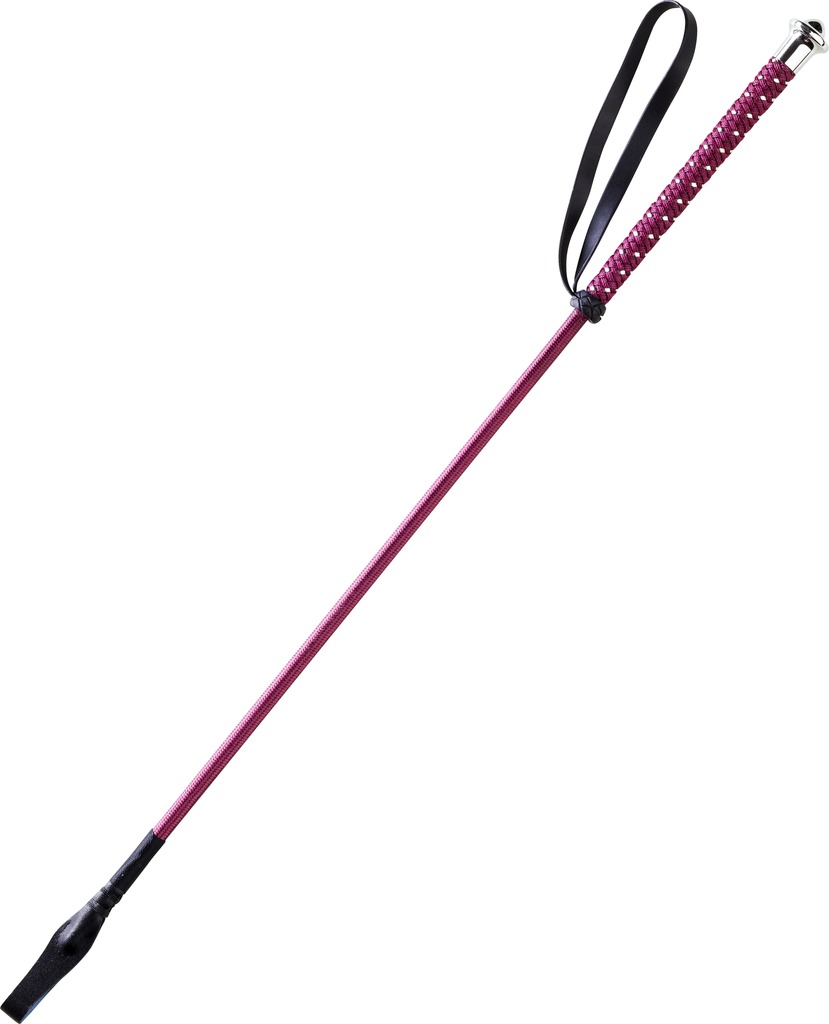 Cravache WHIP & GO “Points”