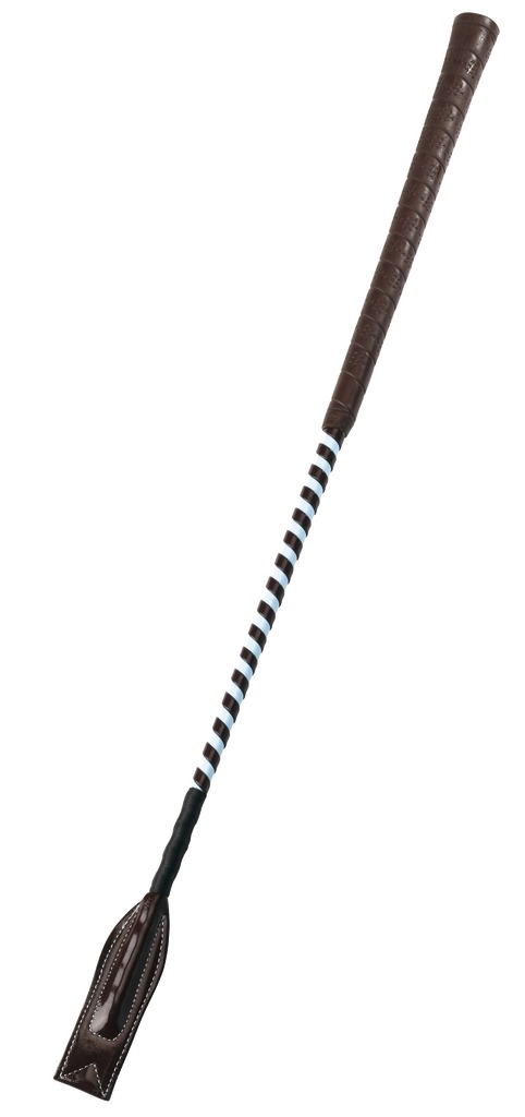 Cravache WHIP & GO "Concours"
