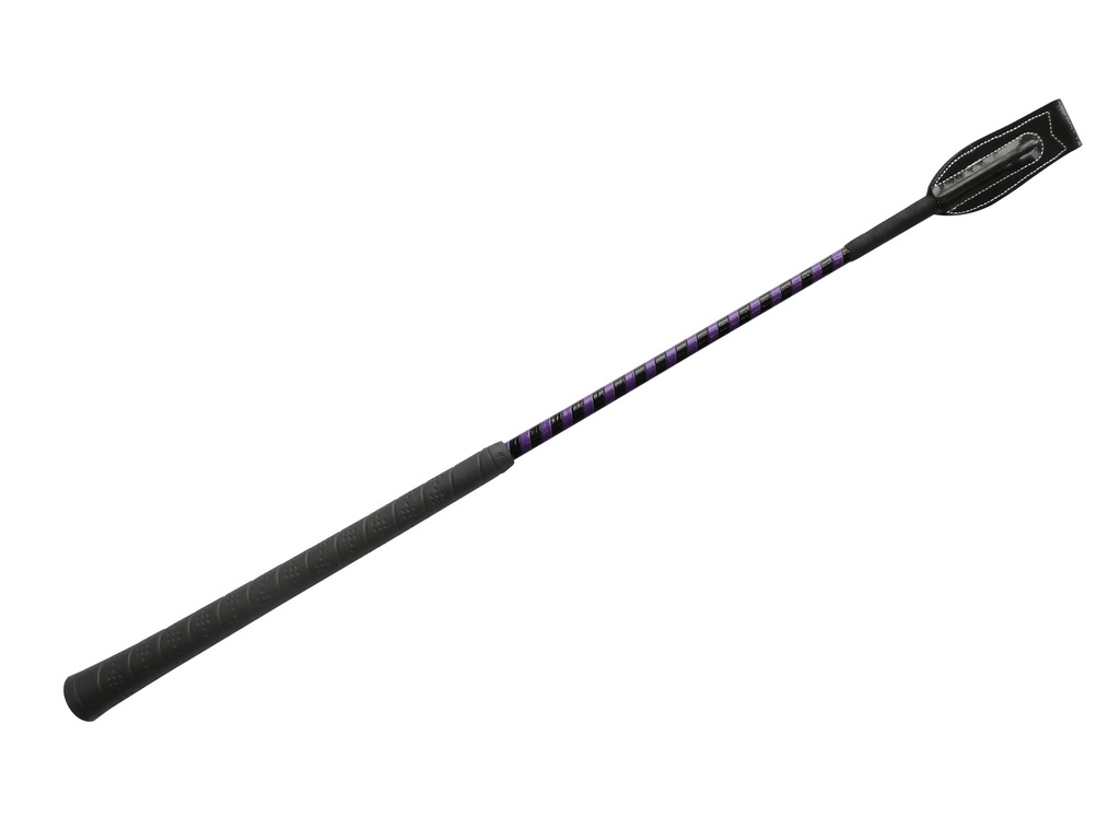 Cravache WHIP & GO "Concours"