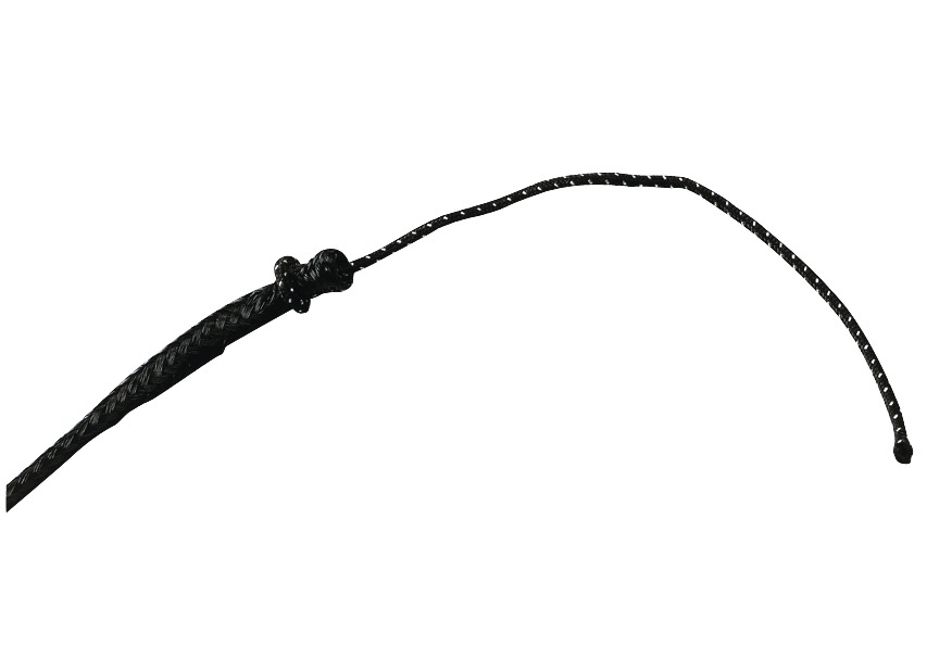 Cravache de dressage WHIP & GO