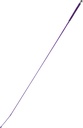 Cravache de dressage WHIP & GO “Points”