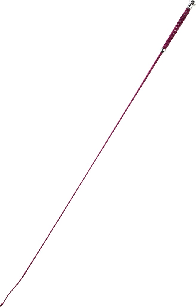 Cravache de dressage WHIP & GO “Points”