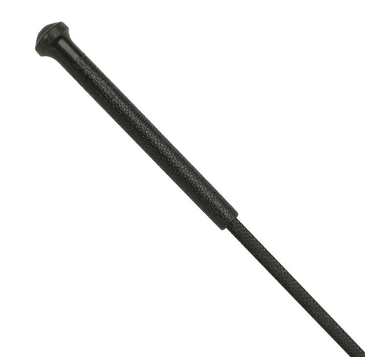 Fouet d'attelage et d'entraînement WHIP & GO