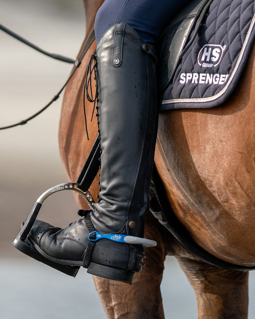 Éperons SPRENGER "FairRider" plats