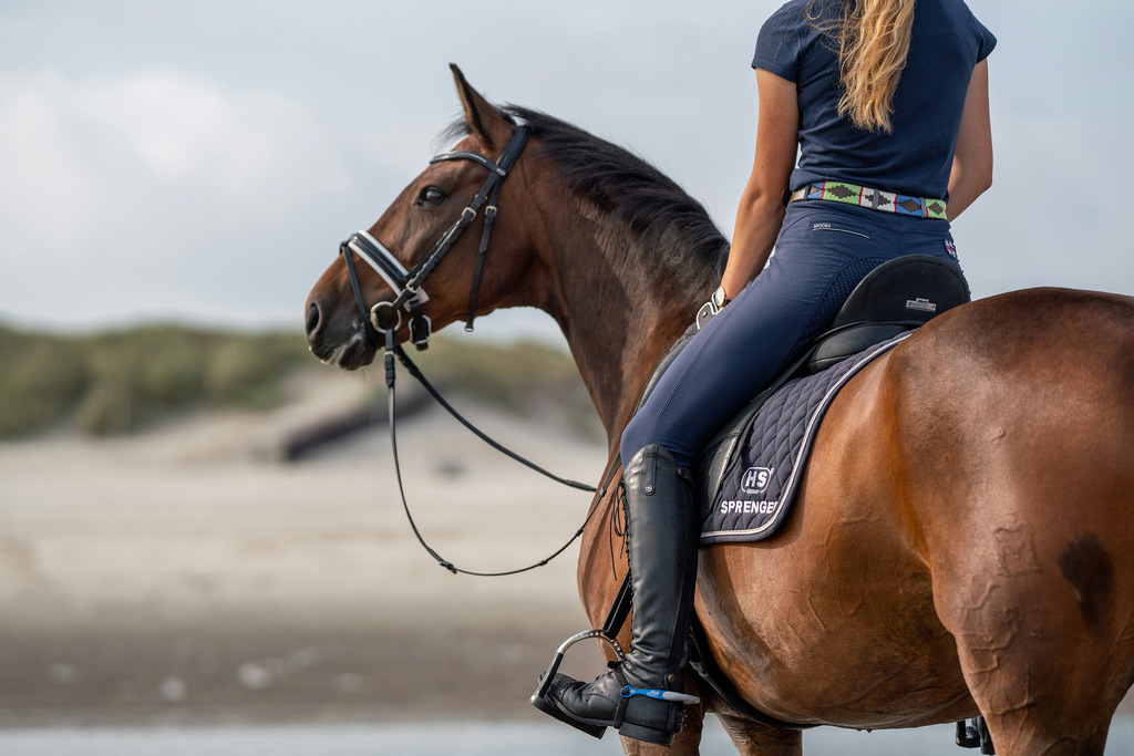 Éperons SPRENGER "FairRider" plats