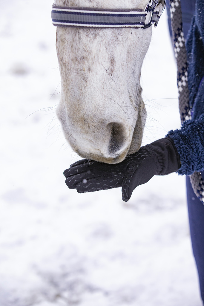 Gants EQUITHÈME "Hiver" digital