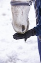 Gants EQUITHÈME "Hiver" digital