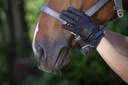 Gants EQUITHÈME "Soft cuir"