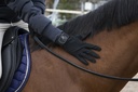 Gants de compétition PRO SERIES "Cabrer"