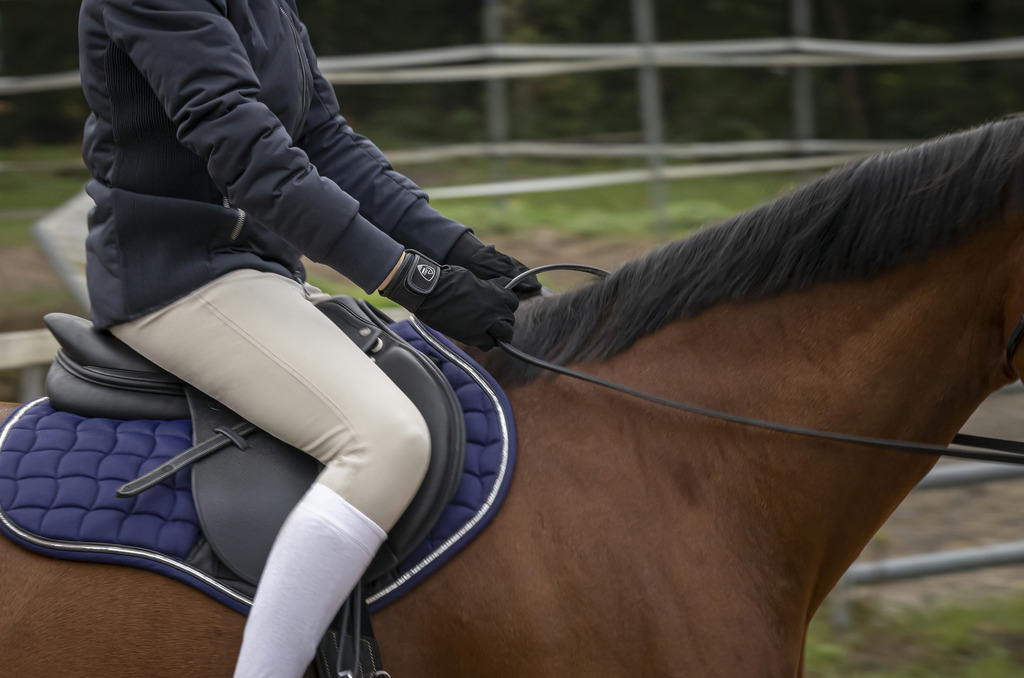Gants de compétition PRO SERIES "Cabrer"