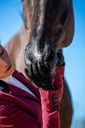 Gants de compétition RACER® "Ambition"