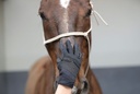 Gants d'entrainement RACER® "Evolution"