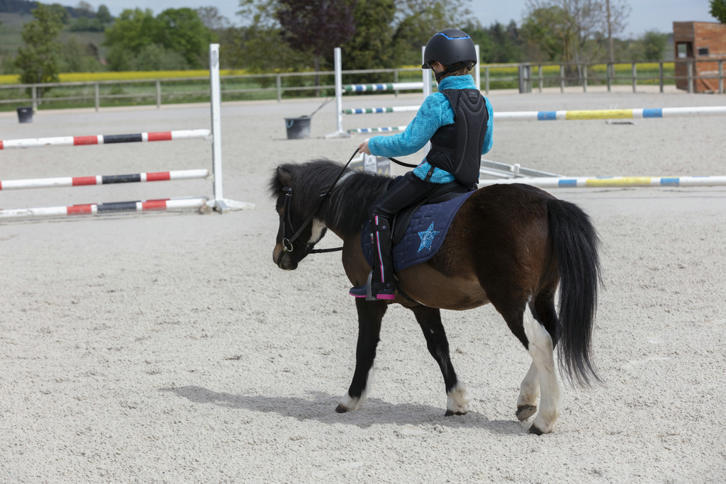 Dorsale EQUITHÈME "Mesh", Enfant