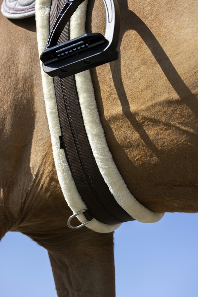 Sangle élastique NORTON "Smooth"