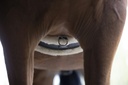 Sangle NORTON XTR "Mouton synthétique"