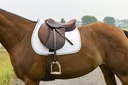 Tapis RIDING WORLD "Girly"