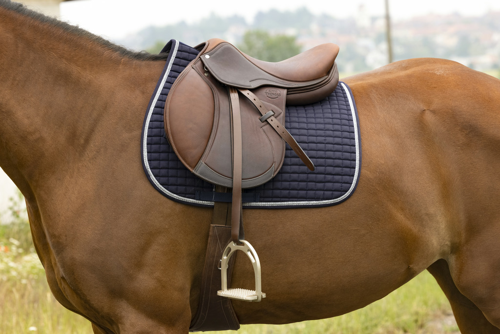 Tapis RIDING WORLD "Girly"