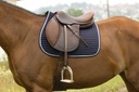 Tapis RIDING WORLD "Girly"