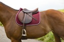 Tapis RIDING WORLD "Girly"