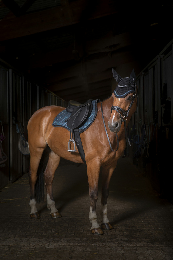 Tapis de selle EQUITHÈME "Glitter"