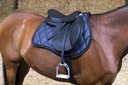 Tapis de selle EQUITHÈME "Glitter"