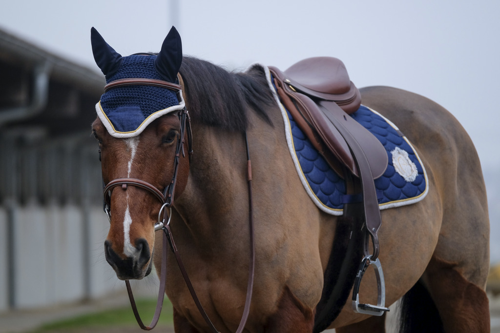Tapis de selle EQUITHÈME "Denim"
