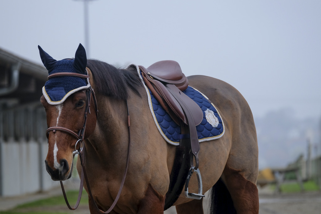 Tapis de selle EQUITHÈME "Denim"