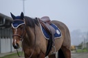 Tapis de selle EQUITHÈME "Denim"